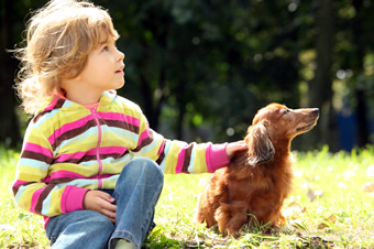 子どもと犬